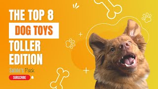 Top 8 Dog Toys - Durable and Cost-effective - Toller Edition by A Duck Toller Named Sable 2,892 views 2 years ago 12 minutes, 57 seconds