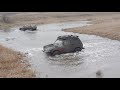 Покатушки с группой 4×4 off-road Ставрополь