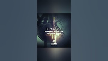 راحة نفسية 🎧💖 طارق محمد حالات واتس اب قران//آيات قرانية قصيرة//ستوريات انستقرام// Quran status