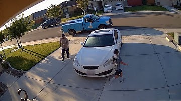 Reolink Captures: Morning Warmup