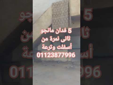 5 فدان للبيع فى وادى الملاك بالاسماعيلية