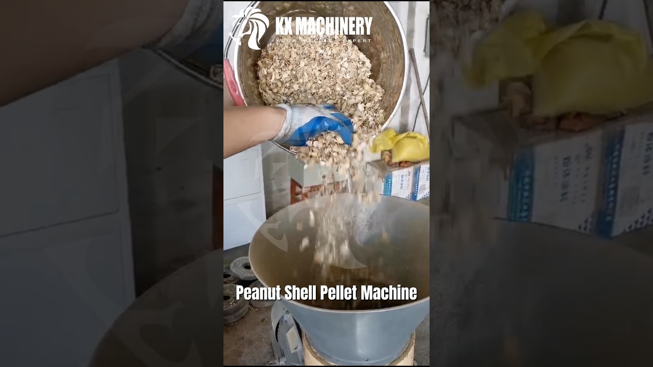 Peanut Shell Pellet Mill Biomass Husks Pellet Machine 