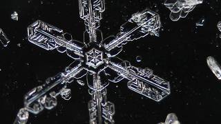 Palindromic Primes - The Cosmic Symmetry Beauty in Rarety of Ivents ❤️