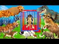 10 Giant Tiger vs Monster Lion Mammoth Fight Dinosaur Attack Cow Cartoon Bull Baby Elephant Rescue