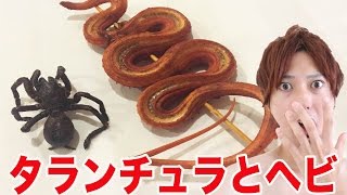 【ドッキリ】巨大毒クモのタランチュラを食べてみた。