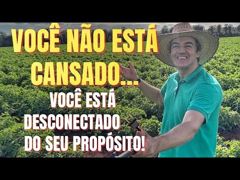 Você não está Cansado… Você está Desconectado do seu Propósito!