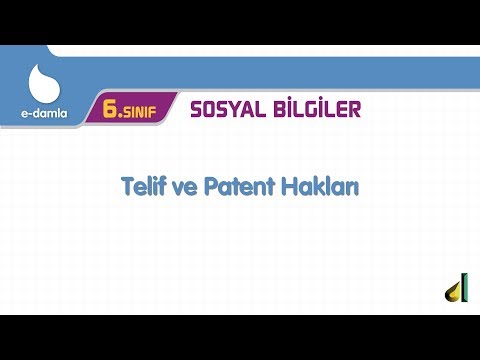 6.Sınıf Telif ve Patent Hakları