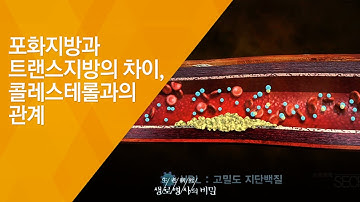 포화지방과 트랜스지방의 차이, 콜레스테롤과의 관계 - (2015.10.28_559회 방송)_3대 식품 논쟁 3편 콜레스테롤의 누명