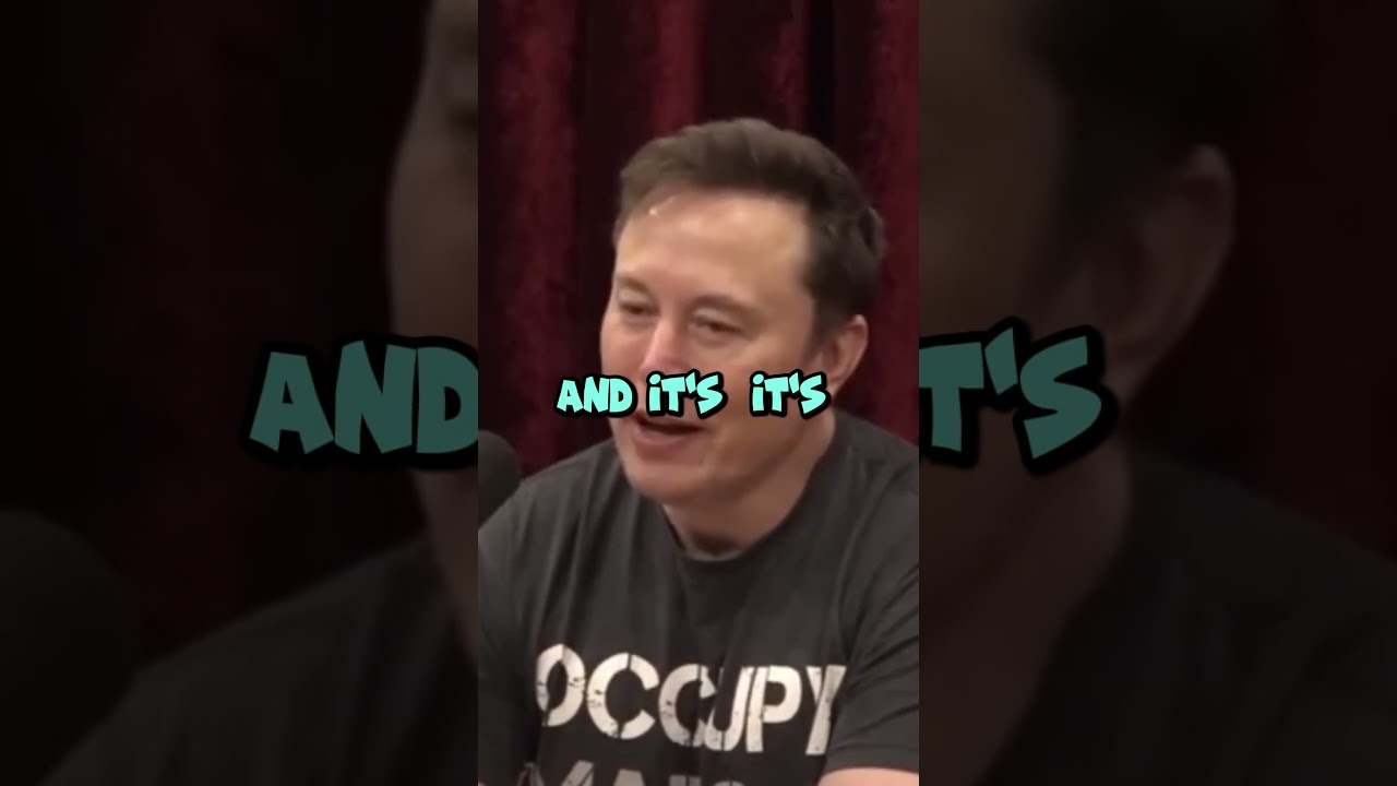 Video Games: The Ultimate Stress Reliever | How Gaming Boosts Mental Health | Joe Rogan - Elon Musk