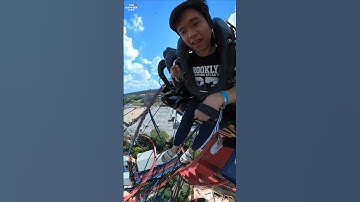 Sheikra! The Most Insane Dive Roller Coaster at Busch Gardens Tampa