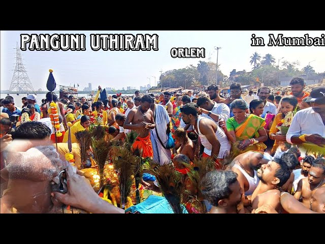 Orlem || PANGUNI UTHIRAM || Murugan Festival || #tamilfestival #orlem #vjstyleeditz #murugan #viral class=