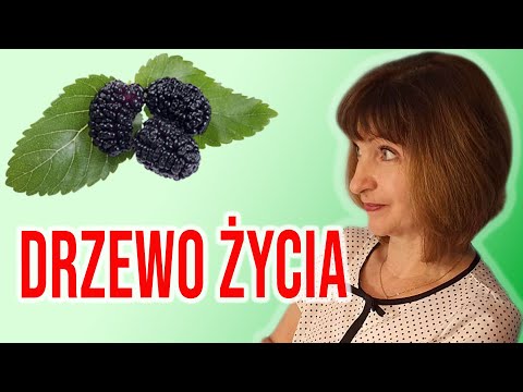 Wideo: 6 Nieoczekiwanych Skutków Ubocznych Owoców Morwy