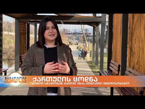 როგორ სწავლობენ ქართულ ენას ეთნიკური უმცირესობები?