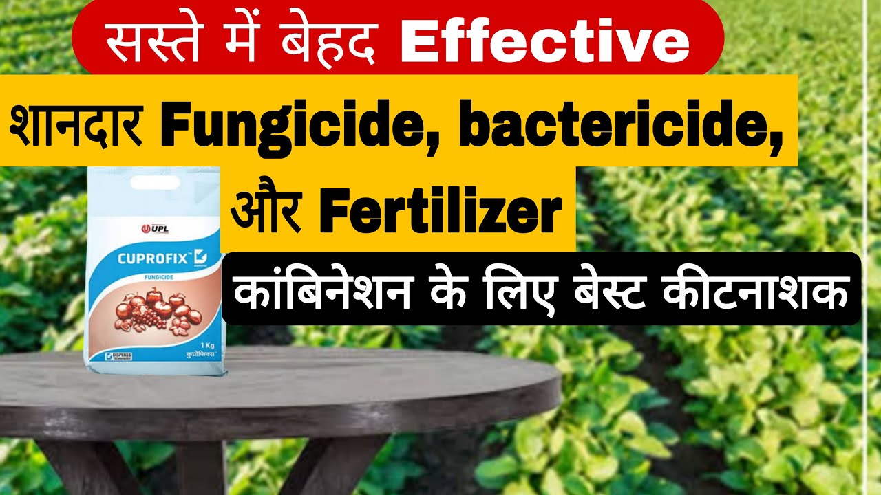 सस्ता है पर रिजल्ट शानदार है upl cuprofix fungicide and bactericide