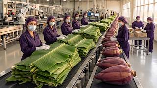 Inside the High Tech Banana Factory Making Vegan Meat & Eco Plates Full Process