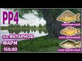 РР4 ФАРМ КАРП РАМЧАТЫЙ ЗЕРКАЛЬНЫЙ ЯНТАРНОЕ /  РУССКАЯ РЫБЫЛКА 4 ЯНТАРНОЕ ФАРМ КАРП РАМЧАТЫЙ / RF4