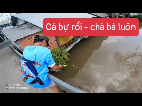 CÂU CÁ MIỀN