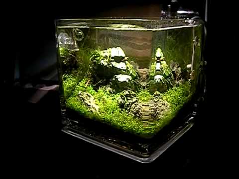 Tropica Aquacube - Planted Nano Aquarium Iwagumi Style  