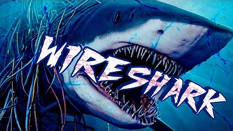 Capture Username & Password over HTTP with Wireshark 🦈 #howto #hacker #network #password