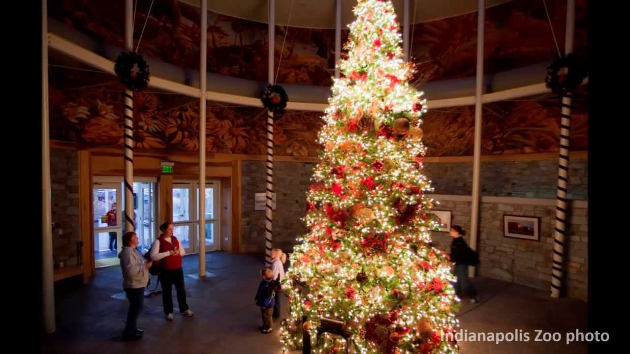 Christmas at the Zoo - YouTube