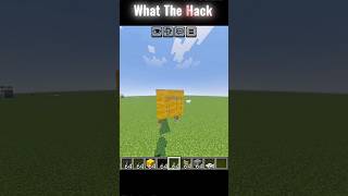Minecraft TikTok Hacks Tested for you and me !! 🤯