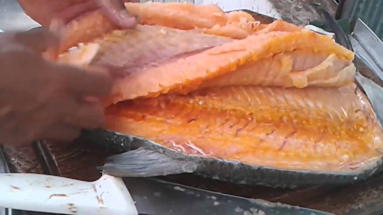 O Que Significa Tirar A Barrigada De Peixe