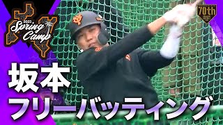 【春季キャンプ】坂本フリーバッティング【巨人】