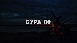 СУРА 110: «АН-НАСР» («ПОМОЩЬ»)  |  Красивое чтение Корана. Саид Дубаха.