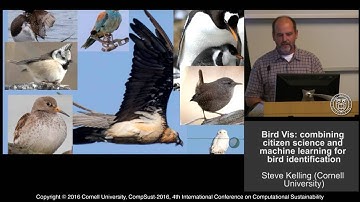 Steve Kelling, "Bird Vis: combining citizen science and machine learning for bird identification"