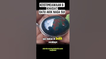Batu Akik Naga Sui : Memahami Keindahan dan Makna Di Balik Pesonanya