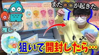 【サンリオ】ゆりかごで眠る赤ちゃんハンギョドンを当てよう！【カスタムアクリルチャーム】