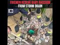Firemen Rescue Baby Raccoon from Storm Drain