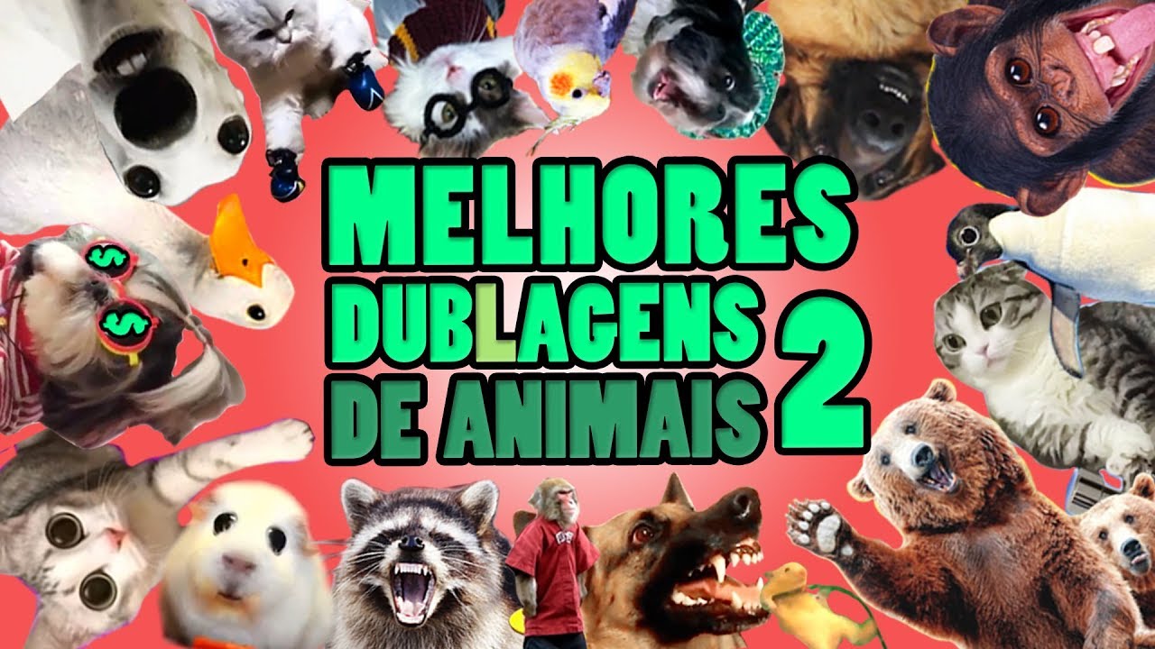 Animais Engraçados - Animais Dublados Binho e Mel #5 