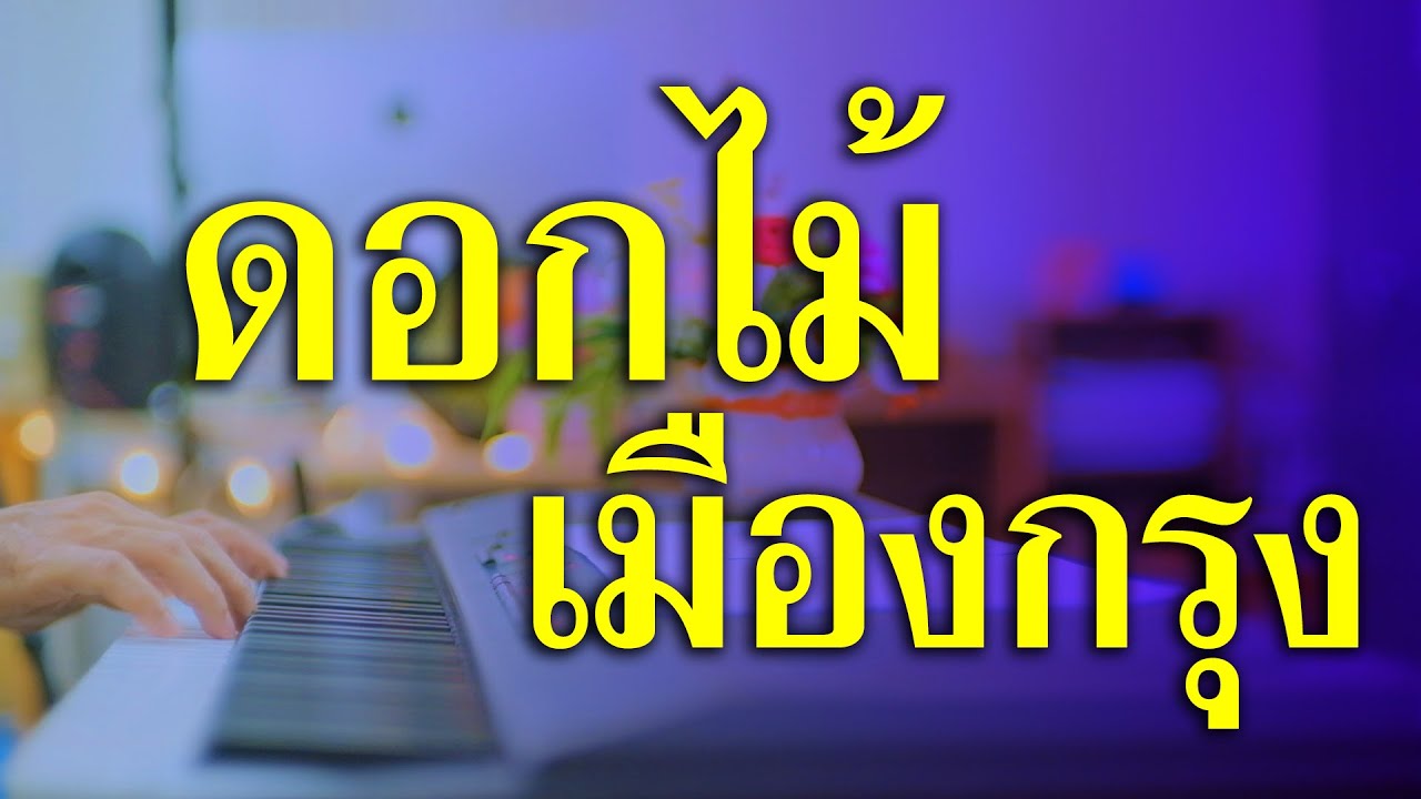 ดอกไม้เมืองกรุง - เปียโนเพราะๆ - เปียโนบรรเลง - Piano Cover by  ธวัชชัย บุญช่วย