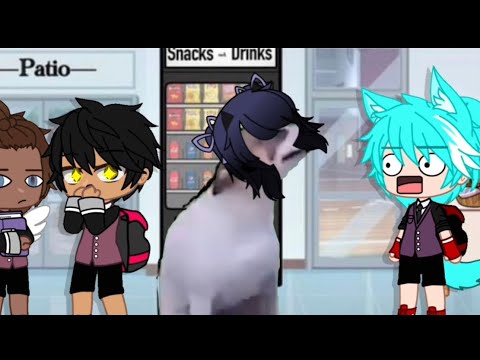 School of boys!||MeMe||GC🐶