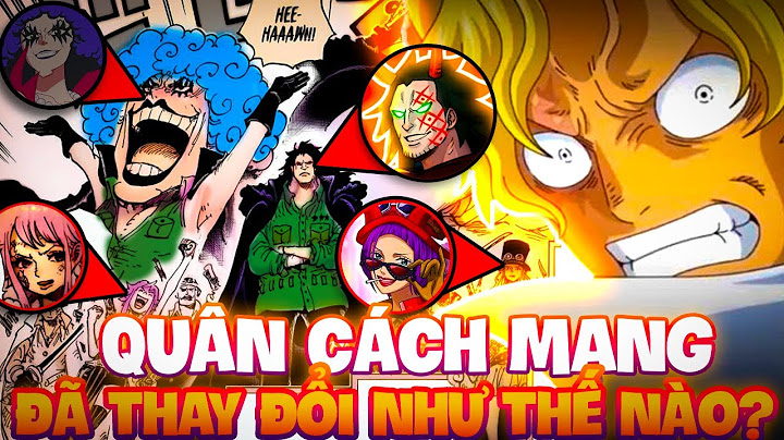 Quân cách mạng one piece là gì năm 2024