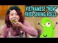 Non comment faire des rouleaux de printemps frits vietnamiens vgtaliens  traditionnels