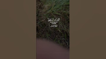 #قرآن كريم بنصوص وتلاوه خاشعه للشيخ ياسر الدوسري قال الحمدلله وسلمٰ على عبادي الذين اصطفىٰ