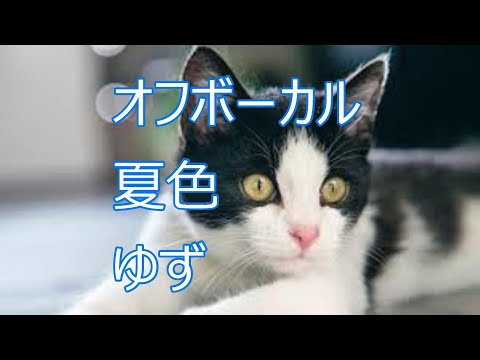 オフボーカル　夏色　ゆず　karaoke
