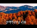 Tesfaye Chala Tamagninetih Bizu ተስፋዬ ጫላ ታማኝነትህ ብዙ March 15 2024 4