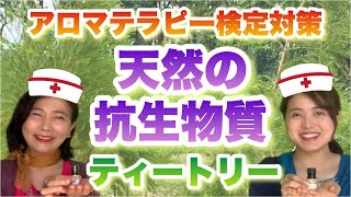 【これで合格】天然の抗生物質！オーストラリアに伝わる治療薬！ティートリー精油！聴き流し◎アロマテラピー検定対策◎アロマ初心者にも！勉強法/問題/独学/無料/ウェブオンライン講座