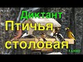 ВПР 2020  по русскому языку в 4 классе. Диктант и 2 задания к нему.  Вариант 10.  Вместо репетитора.