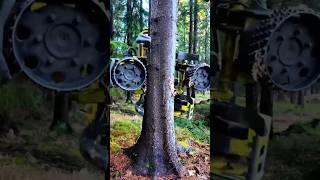 Duniya Ki Sabse Tez Ped Katne Vali Machine!😱Modern Logging Technology is Insane! #Shorts #Technology