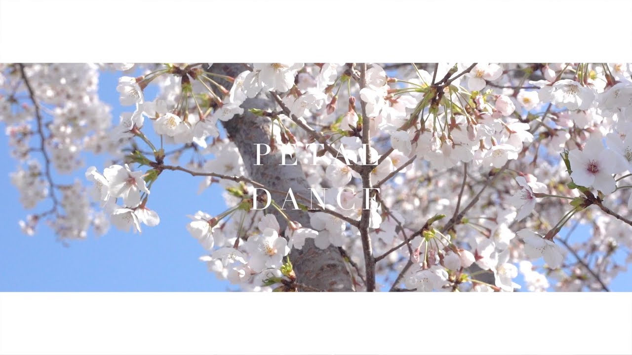 [.que] - petal dance (Official Audio)