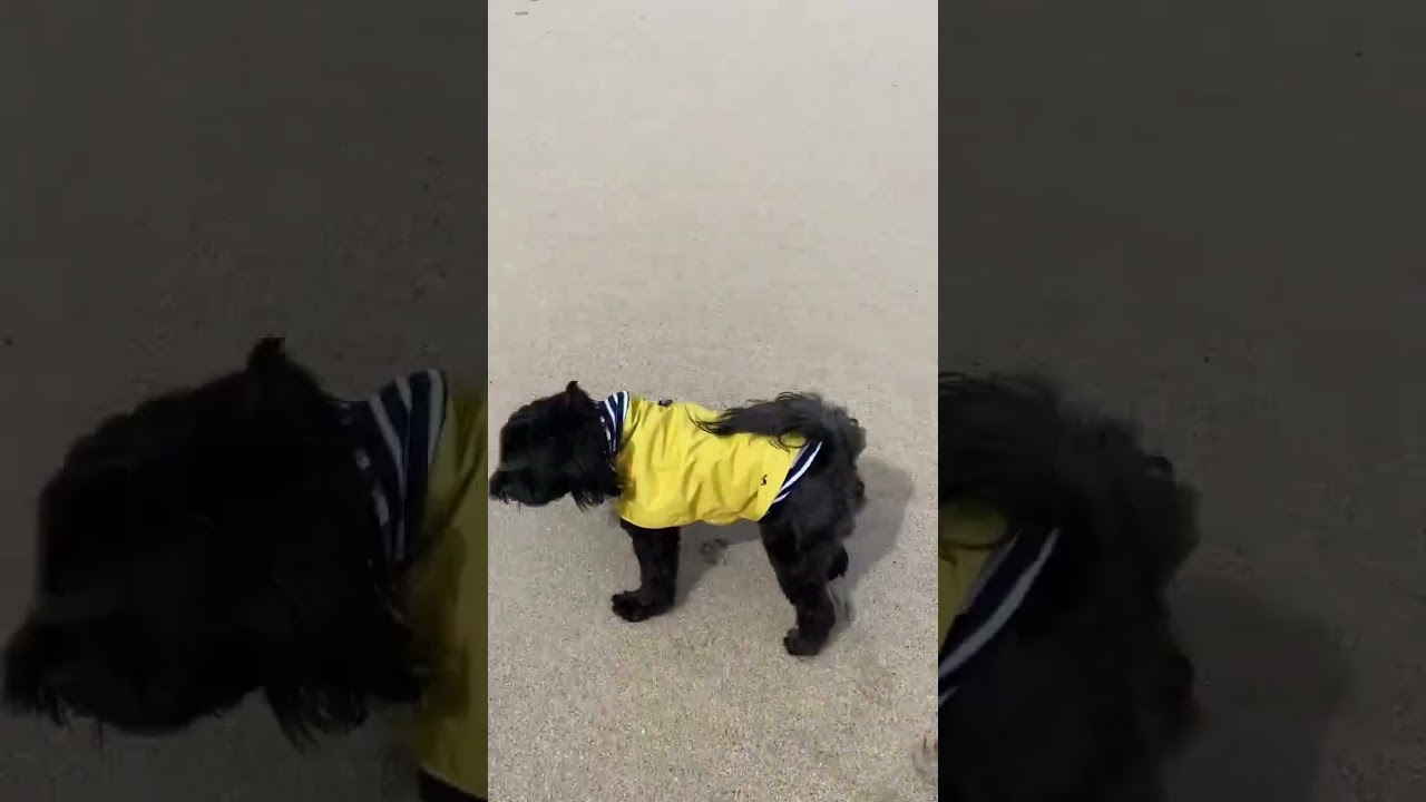 Life isn’t about money/status. My family and an empty beach is everything 