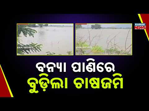 ବନ୍ୟା ପାଣିରେ ବୁଡ଼ିଲା ଚାଷଜମି | Khallikote Flood Update | 5 Feet Water Floods Road in Ganjam