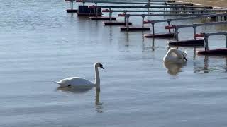 Vadstena April 2026