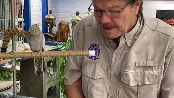 Rick Crosslin Science - Garden Glove Seeds