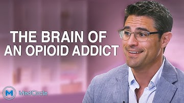 Opiates | Affects on the Brain