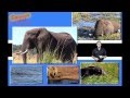 Botswana Card: Chobe National Park